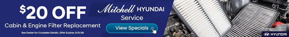 Cabin & Engine Filter Replacement 